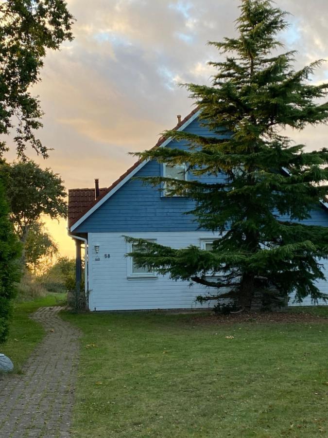 Freistehendes Einfamilienhaus Mit Boddenblick Naehe Ostsee Fuhlendorf  Экстерьер фото